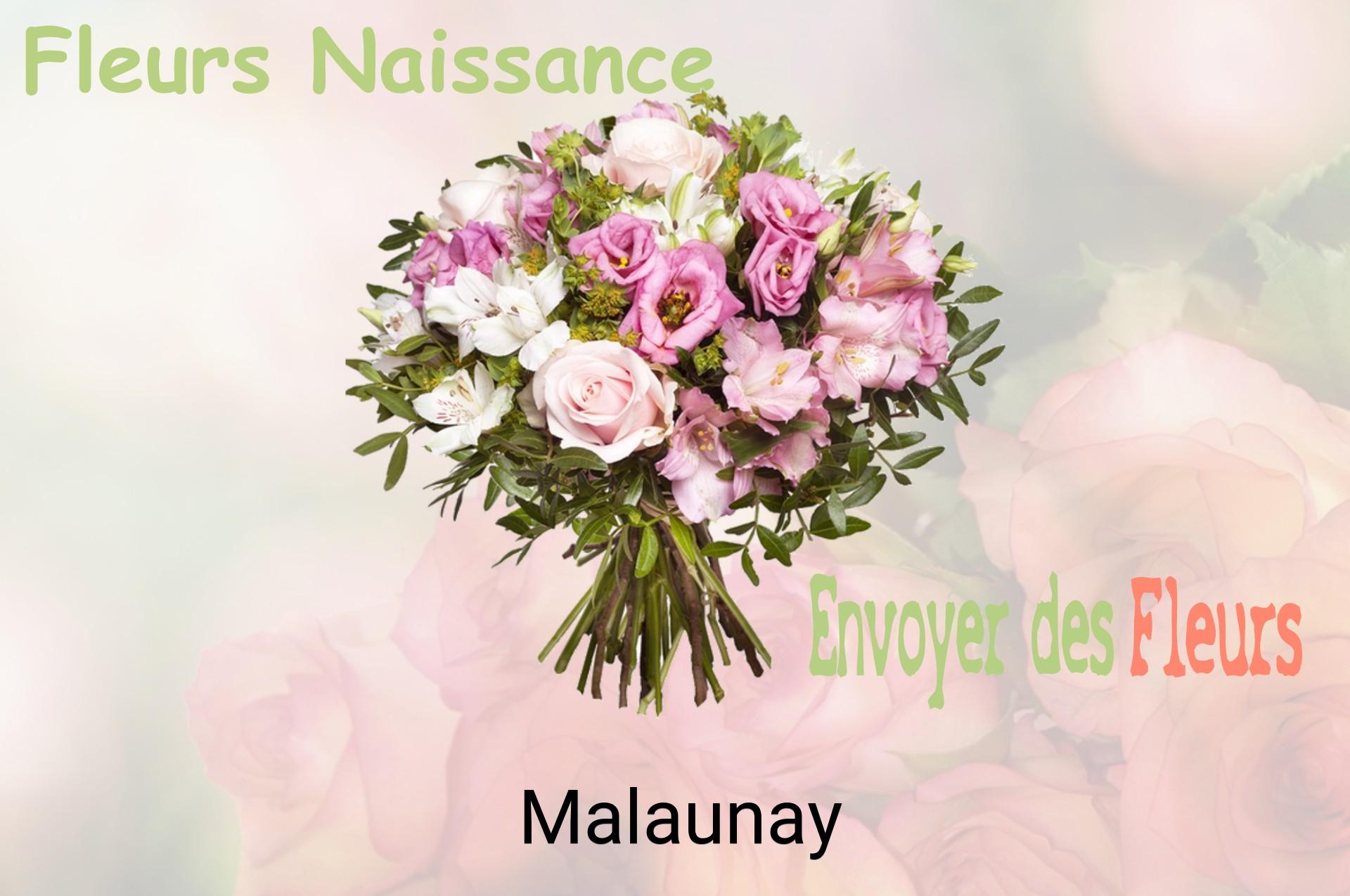 Bouquet de fleurs de naissance livré à Malaunay